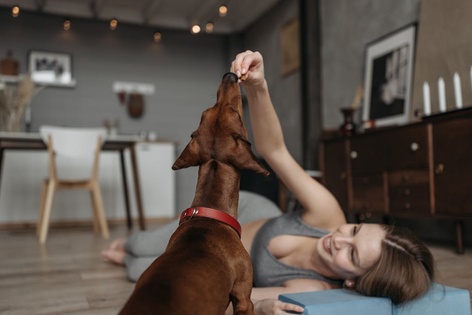 Woman lying on floor feeding her brown dog a treat at home. Cozy indoor scene.
