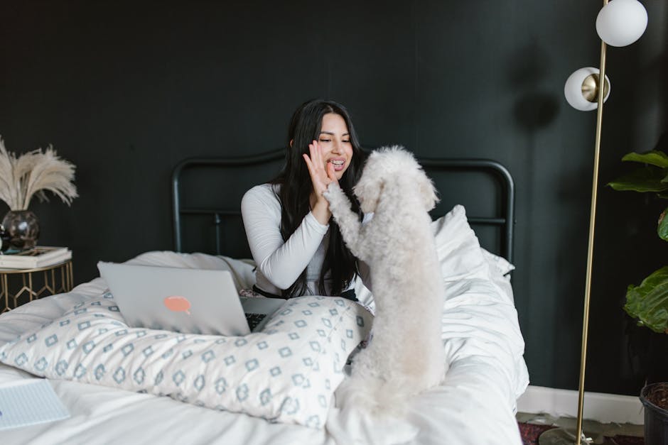 Cozy indoor scene of a woman high-fiving her fluffy pet dog in a homely setting.
